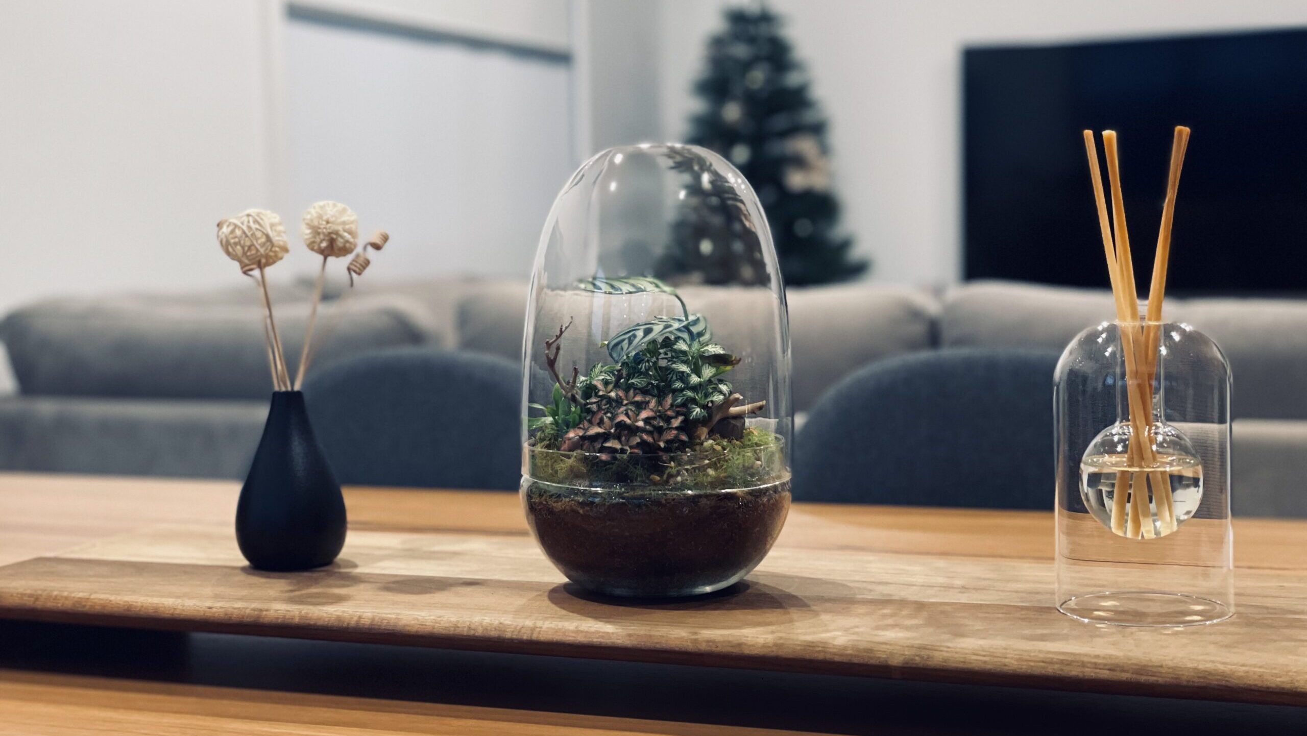 eko lab glass terrarium on a wooden table