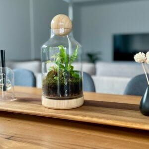 Eko Lab wooden terrarium, planted