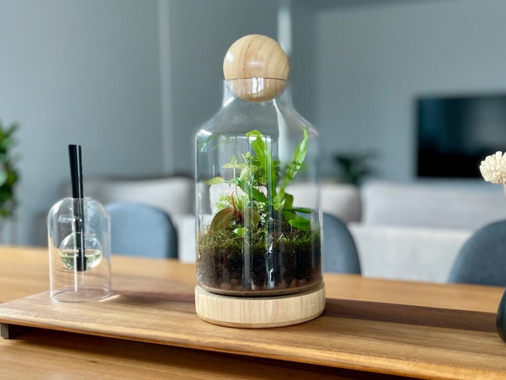 Eko Lab wooden terrarium, planted