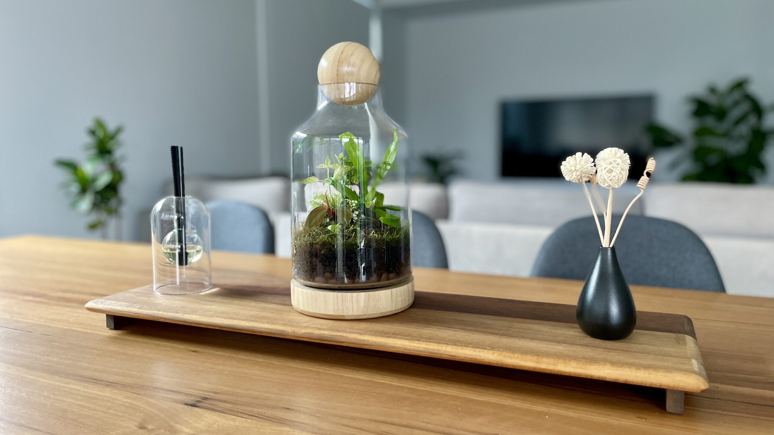 Eko Lab wooden terrarium, planted