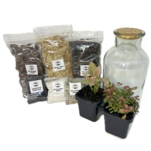 Eko Lab Terrariums cork top bottle full DIY kit