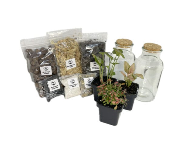 Couples terrarium kit, full DIY with plants
