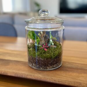 Eko Lab DIY Jar Terrarium