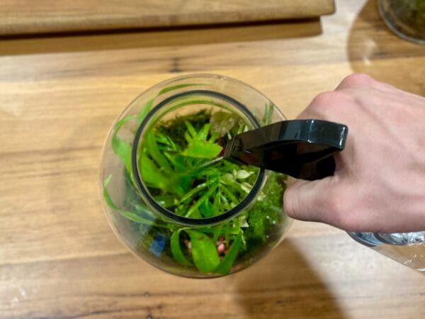 Terrarium Spray Bottle - Image 4