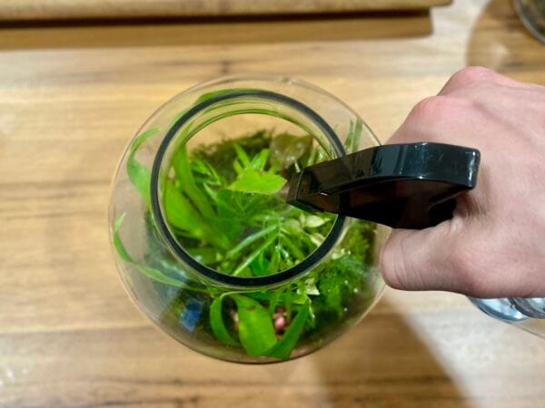 Terrarium Spray Bottle - Image 5
