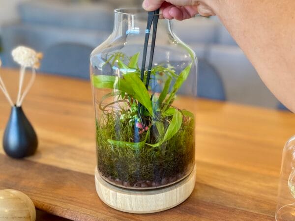 Eko Lab black terrarium tweezers