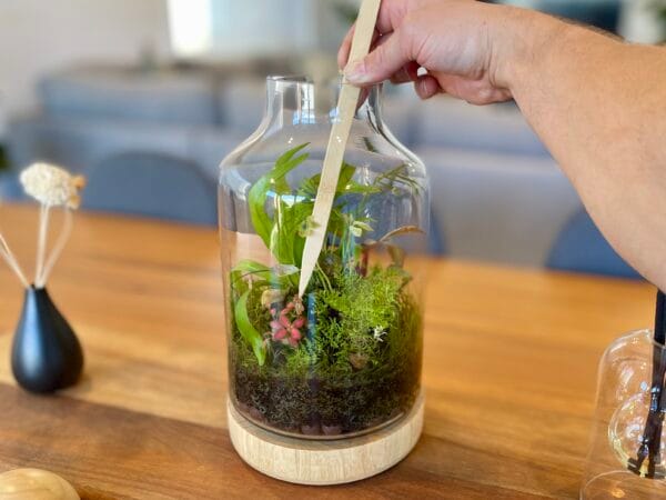 Eko Lab wooden tweezers, planted terrarium on a wooden table